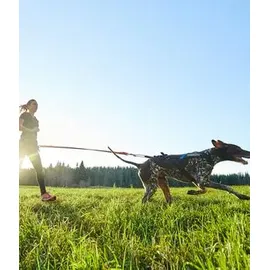 Non-Stop Dogwear Bungee Leash 2.0 m / 23 mm)