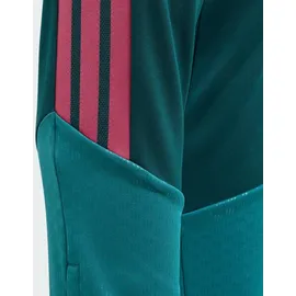 adidas Tiro26 Competition Trainingshose Aurora Ivy/Wild Pink 116