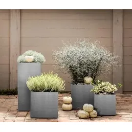 Dehner Palermo 30 x 30 x 40 cm grau