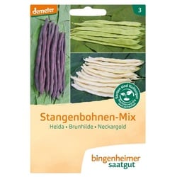 Bingenheimer Saatgut Stangenbohne Stangenbohnen-Mix