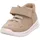 Beige 23