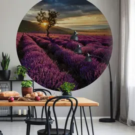wall-art Runde Vliestapete 140 cm x 14 m 300 g lila/weiß/mehrfarbig 34193