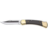 Buck Folding Hunter (BU110)