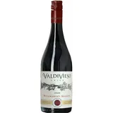 vina vadivieso Syrah Winemaker Reserva 2019 0,75 l