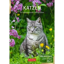 Harenberg Katzen Wochenplaner 2027 - 53 faszinierende Fotografien Thomas Huhnold / Harenberg) / Kalender