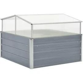 vidaXL Gewächshaus 100 x 100 x 85 cm Grau