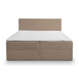 venasi TILLY Boxspringbett 160x200 mit 2 Bettkästen H2/H3 Matratze BRAUN CORD TILIA - Braun