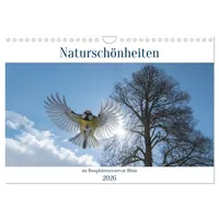 Calvendo Naturschönheiten im Biosphärerenreservat Rhön (Wandkalender 2026 DIN A4