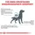 Royal Canin Hypoallergenic DR 21 2 x 14 kg
