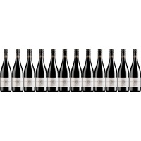 12x Merlot, 2022 - Weingut L'Or du Sud - Foncalieu, Languedoc! Wein