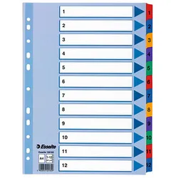 Esselte Ordnerregister Vollformat 1-12 farbig 12-teilig, 1 Satz