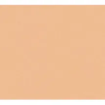 bricoflor Vliestapete Floral Impression 53 cm x 10 m orange 377021