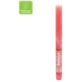 Bolsius Rustik Stabkerzen 270 mm rot 9 St.