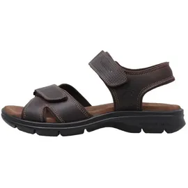 Panama Jack Sanders Basics C1 braun 43