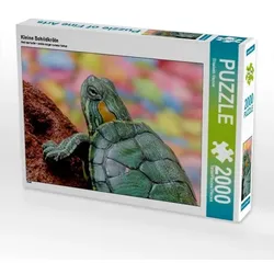 Kleine Schildkröte (Puzzle)