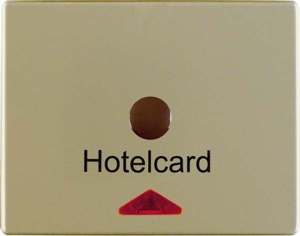 10 Stück Berker Hotelcardschalter brz 16419011