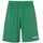 Uhlsport Center Basic Grün 164