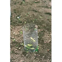 BETAFENCE 7036385 Sechseckgeflecht 10m