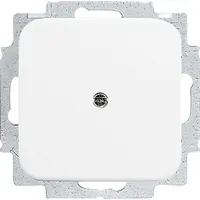 Busch-Jaeger Blindzentralscheibe mit Tragring