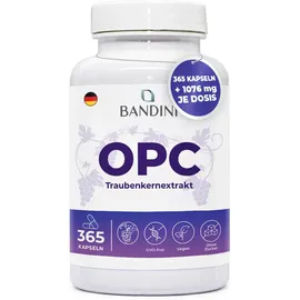 Bandini OPC Traubenkernextrakt Kapseln 365 St.