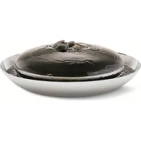 philippi Zimmerbrunnen