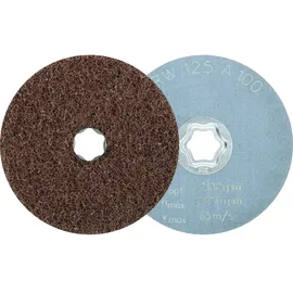Pferd Vliesronde CC Ø 125 mm Satinierer