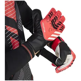 Adidas Predator Training Torwarthandschuhe - Black / Lucid Red / Black - 12