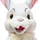 Steiff Klopfer Hase 21 cm