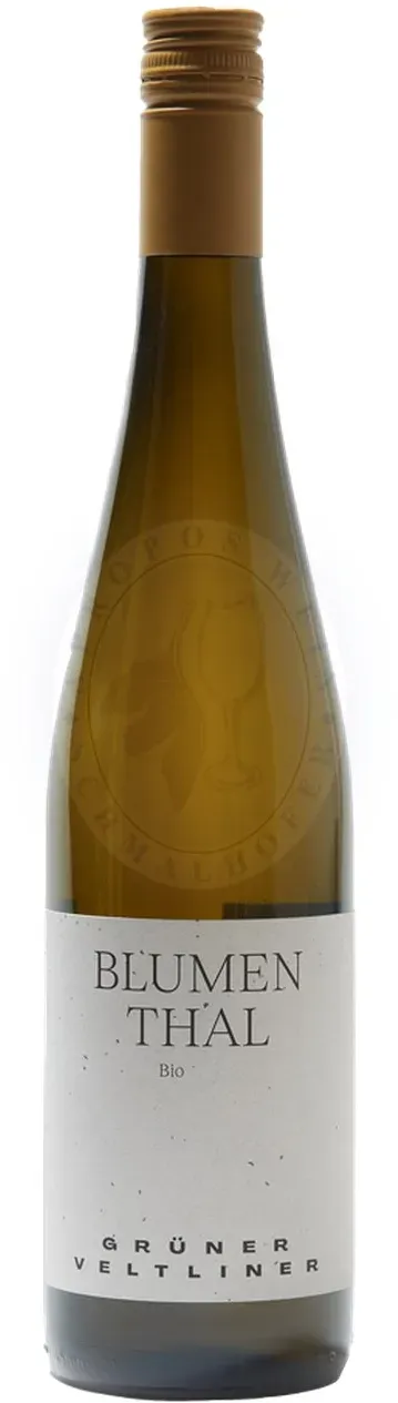 Grüner Veltliner Blumenthal 2025 Schödl 0,75l