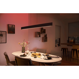 Philips Hue White & Color Ambiance Ensis schwarz