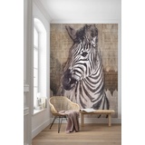 KOMAR Fototapete Zebra 200 x 250 cm