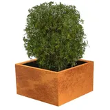 Palatino Exclusive Line Pflanzkübel eckig Clara (100 x 100 x 50 cm, Cortenstahl, Rotbraun)