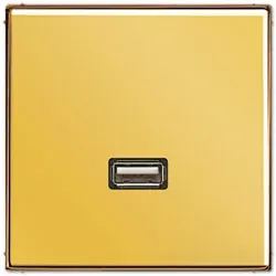 Jung Mutimedia-Einsatz USB (Gold)