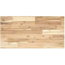vidaXL Tischplatte 100 x 40 x 2 cm