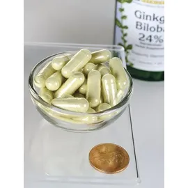 Swanson Ginkgo Biloba Extrakt Kapseln 120 St.