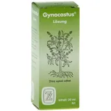 Fritz Zilly GYNOCASTUS LOESUNG