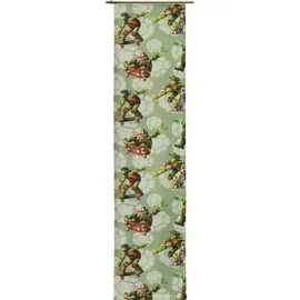 Wirth »Turtles« 1, Stk. tlg. Nickelodeon