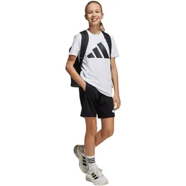 adidas Essentials Big Logo Set Trainingsanzug Schwarz/Weiß 152
