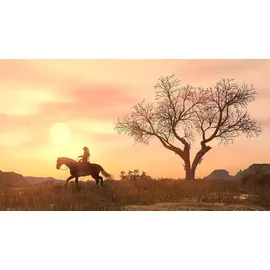 Red Dead Redemption PS4 - /