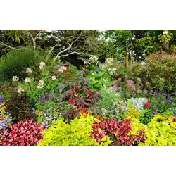 Fototapete PAPERMOON "GARTEN-BÄUME BLUMEN PFLANZEN PARK STEINE WALD BLÜTEN", bunt, B:3,50m L:2,60m, Vlies, Tapeten