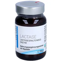 Lactase Kapseln 60 St