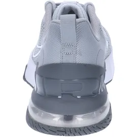 Nike Air Max Alpha Trainer 6 Fitnessschuhe Herren 002 cool grey/white-wolf grey-pure platinum 44