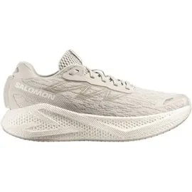 Salomon Aero Glide 4 Herren Silver Cloud/Silver Cloud 44