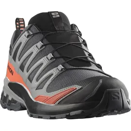 Salomon XA Pro 3D V9 GTX Herren Turbulence/Black/Burnt Ochre 45 1/3