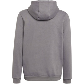 Adidas Entrada 22 Hoodie Kinder tegrfo 140