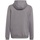 Adidas Entrada 22 Hoodie Kinder tegrfo 140