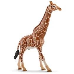 Schleich WILD LIFE Giraffenbulle, 3 Jahr(e), Afrika, Mehrfarbig, Kunststoff