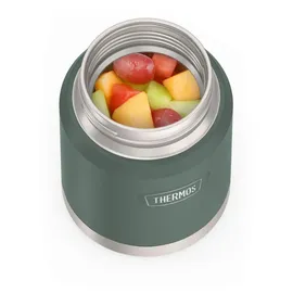 Thermos ICON Food Jar grün 0,47 l