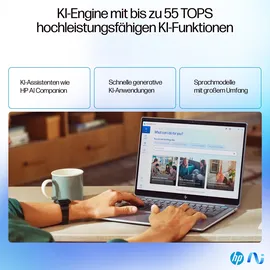 HP OmniBook Ultra 14-fd0094ng, Meteor Silver, Ryzen AI 9 365, 16GB RAM, 1TB SSD, DE (AU1K1EA#ABD)