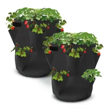 Spetebo Erdbeer Pflanzsack 45 x 35 cm
